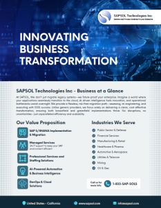 innovating-bussiness-trans-sapsol-broc