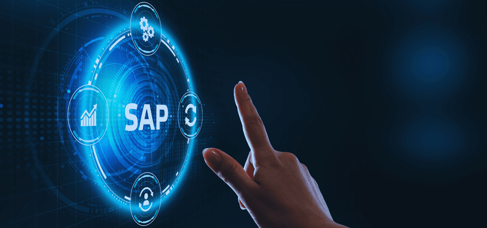 SAP Implementation